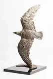 Oisín Kelly, Artic Skua