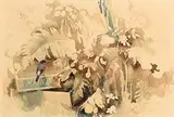 Tom Carr, Bullfinch in the Hedgerow, watercolour