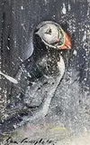 Con Campbell, Puffin
