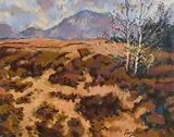 Fergal Flanagan, Maameen, Recess, Connemara
