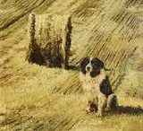 Mark O'Neill, Collie and Straw Bale, 1997, oil on board