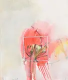 Robert Janz, Field Focus .6