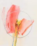 Robert Janz, Field Focus 3.5