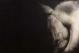 Paddy Lennon, Thaddeus, charcoal