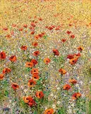 Wild Flower Meadow by Kenneth Webb, oil on canvas, sold Apr 2017