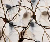 Mark Francis, Ventral, 2003, oil on canvas