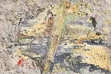 Tree by John Kingerlee, oil on canvas board, sold Mar 2017
