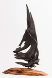 Andy Ra, Shadow Sail, bog oak on oak plinth