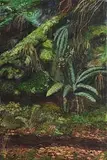Liam Kelly, Ferns - West Cork Railway Cutting, oil on canvas