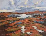 Fergal Flanagan, Winter Light, Roundstone Bog, Connemara
