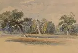 John Rathbone British, Sherwood Forest, watercolour