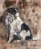 Con Campbell, Sheep Dog