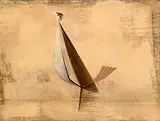 Neville Johnson, Bird, oil on board