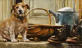 Mark O'Neill, Jake and the Watering Can