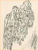 Lace Antimacassars by Jack Butler Yeats, pen & ink, sold Apr 2016
