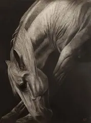 The Grey by Paddy Lennon, 2005, charcoal, sold Apr 2016