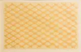 Sean Scully, Diagonals 1