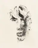 Louis le Brocquy, Studies Towards an Image of W.B.Yeats, 1975, charcoal