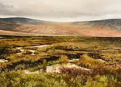 Niall Wright, Sodden Ground, oil on canvas