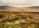 Niall Wright, Sodden Ground, oil on canvas