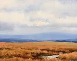 Peter Curling, Red Bog, Mountrath, oil on board