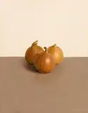 Comhghall Casey, Onions, 2006, oil on canvas