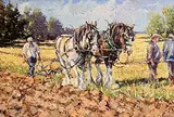 James S. Brohan, Ploughing