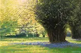 Gemma Guihan, Lime Tree, oil on canvas