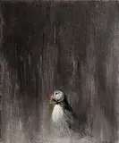 Cornelius Campbell, Puffin, oil on canvas