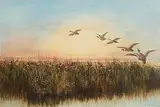 Andrew Nicholl, Geese Rising from the Reeds