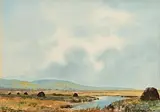 Douglas Alexander, On The Bog, Galway