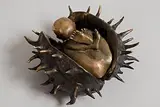 Patrick O'Reilly, Chestnut Foetus, bronze (7.6kg)