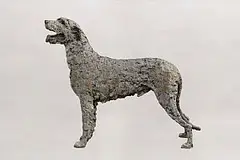 Stephen McKeown, Irish Wolfhound (life size), bronze edition of 9