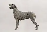 Stephen McKeown, Irish Wolfhound (life size)
