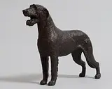 Stephen McKeown, Irish Wolfhound