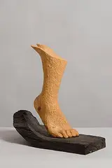 Ken Drew, Mercury's Foot, bog oak and white wood (3.2kg)