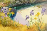Susan Mary Webb, Ferdie the Frog, Ballinaboy