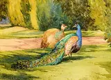 Mildred Anne Butler, Peacocks