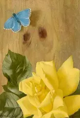 Rose and Butterfly by Patrick Hennessy, oil on canvas board, offered Dec 2013