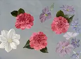 Floral Study by Desmond Courtney Kenny, oil on board, sold Dec 2013