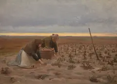 Michael Ancher, Potato Harvest (Kartoffelhøst), 1901, oil on canvas