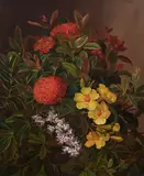 Still Life with Flowers (Blomsterstilleben med rød ixora, gul allamada og orkidégen) by Princess Augusta of Hessen-Kassel, oil on canvas, sold May 2026