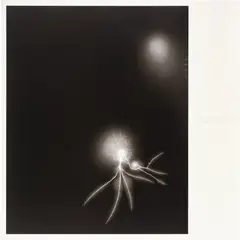 Lightning Fields 057, from History of History by Hiroshi Sugimoto, 2008, Offset lithograph with embossed text, on wove paper, with full margins, sold Feb 2026