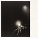 Hiroshi Sugimoto, Lightning Fields 057, from History of History, 2008, Offset lithograph with embossed text, on wove paper, with full margins