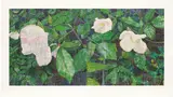 Jennifer Bartlett, White Roses, 2013, Screenprint in colors, on wove paper, with full margins