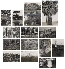 Photographs of Flowers by Lee Friedlander, 1974-75, The complete set of 15 gelatin silver prints, on photo paper mounted to debossed Harumi paper, with full margins, with c, sold Feb 2026