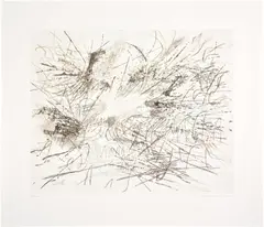 Untitled (Pulse) by Julie Mehretu, 2013, Lithograph in colors, on wove paper, with full margins, sold Feb 2026