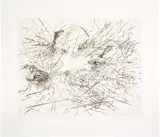 Julie Mehretu, Untitled (Pulse), 2013, Lithograph in colors, on wove paper, with full margins