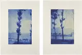 Seton Smith, From One Tree; and To Another, 1990-99, The complete set of two photogravure and aquatints, on thin Rives BFK wove paper, with full margins