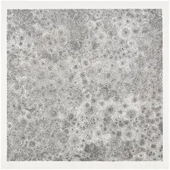 Tara Donovan, Untitled, 2010, Pin head matrix relief print, on Hahnemühle paper, with full margins